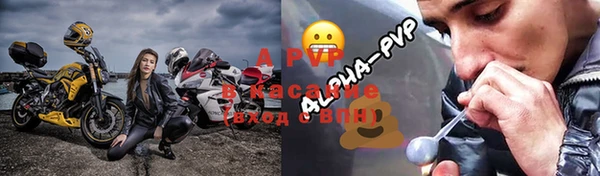 гидра Белокуриха