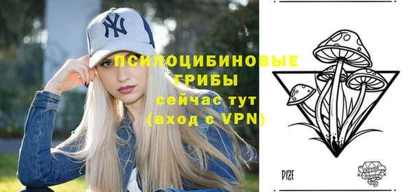 гидра Белокуриха